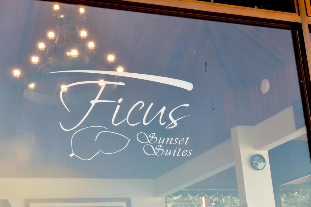 Ficus Lodge Monteverde Kültér fotó