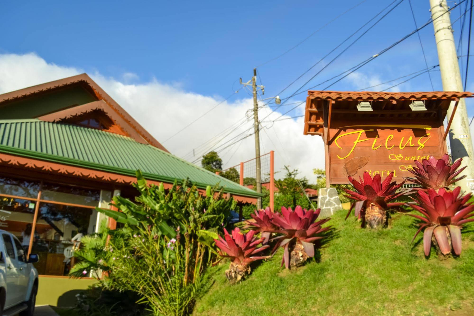 Ficus Lodge Monteverde Kültér fotó